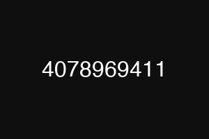 4078969411