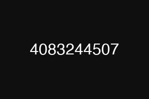 4083244507