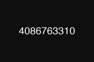4086763310