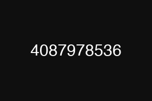 4087978536