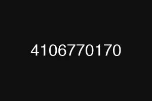 4106770170