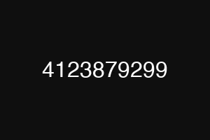 4123879299