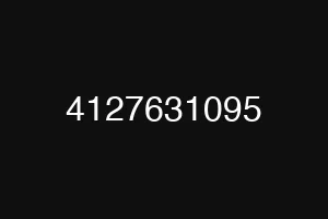 4127631095