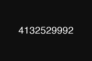 4132529992