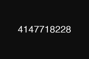 4147718228