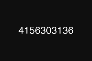 4156303136