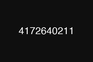4172640211