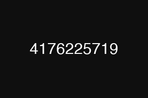 4176225719