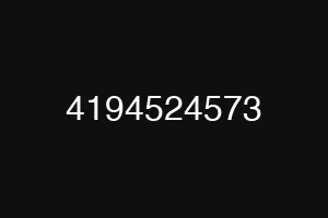 4194524573