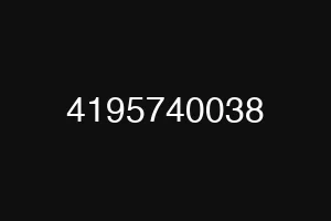 4195740038