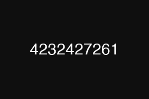 4232427261