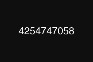 4254747058