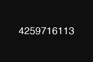 4259716113