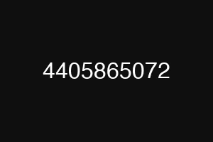4405865072
