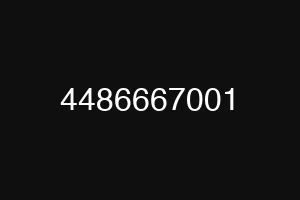 4486667001