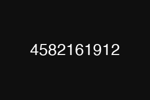 4582161912