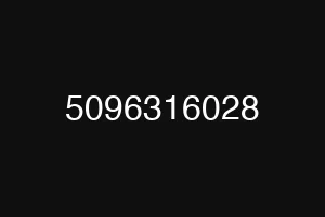 5096316028