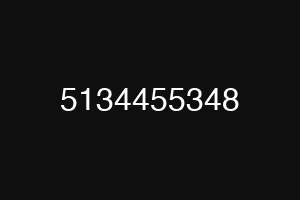 5134455348
