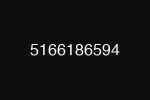 5166186594