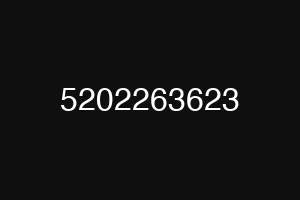 5202263623
