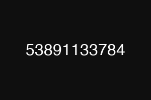 53891133784