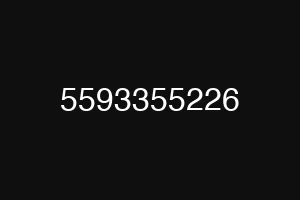 5593355226