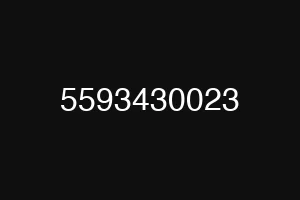 5593430023