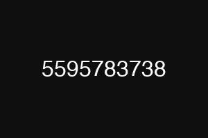 5595783738