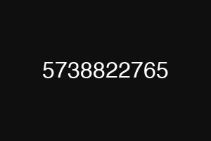 5738822765