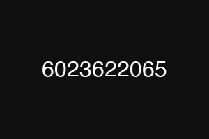 6023622065