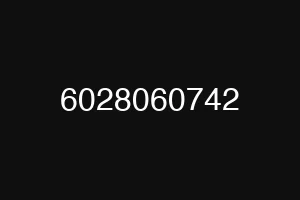 6028060742