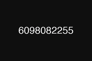 6098082255