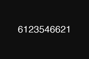 6123546621