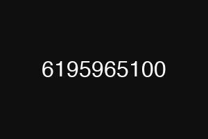 6195965100