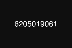 6205019061