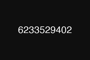 6233529402