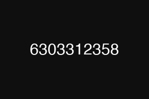 6303312358