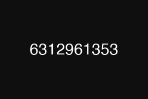 6312961353