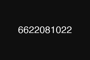 6622081022