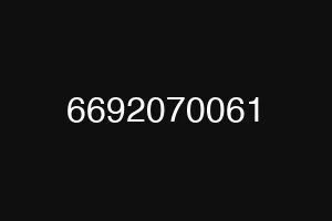6692070061