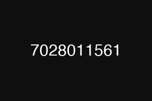 7028011561
