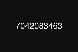 7042083463