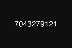 7043279121